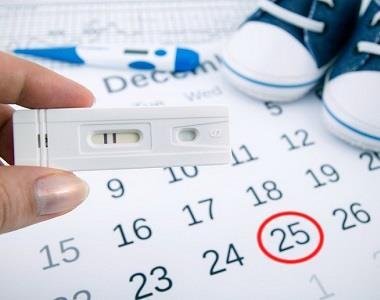 Stanovení termínu porodu Dle prvního dne poslední menstruace + 7dní 3 měsíce + rok Dle termínu koncepce 3 kalendářní měsíce Dle prvních pohybů primipary
