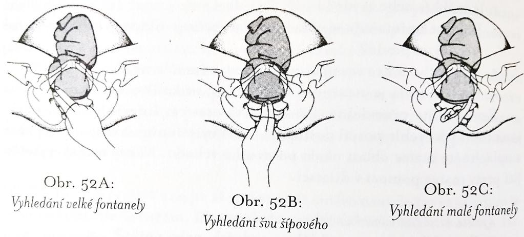 Zdroj: I.M.