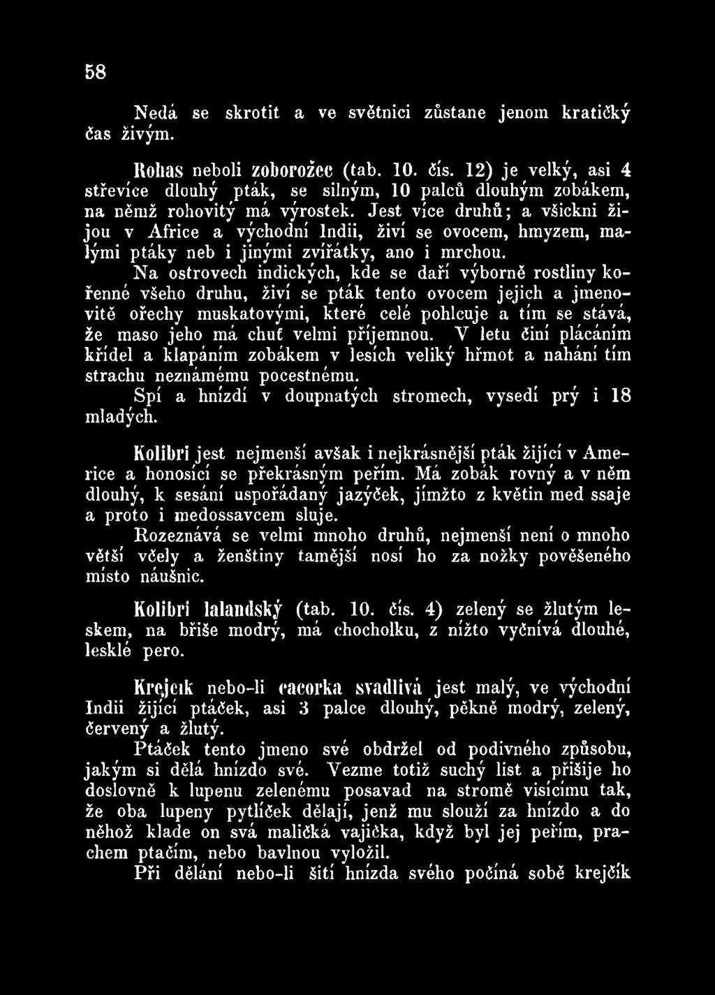 Jest vice druhů; a všickni Žijou v Africe a východní Indii, živí se ovocem, hmyzem, malými ptáky neb i jinými zvířátky, ano i mrchou.