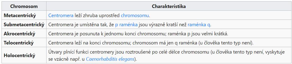 TELOMERY terminální části chromozomových ramen vliv na stabilitu chromozomu zabraňují vzájemnému propojení chromozomů v jádře buňky chrání vlákno DNA před destrukcí exonukleasami po replikaci DNA