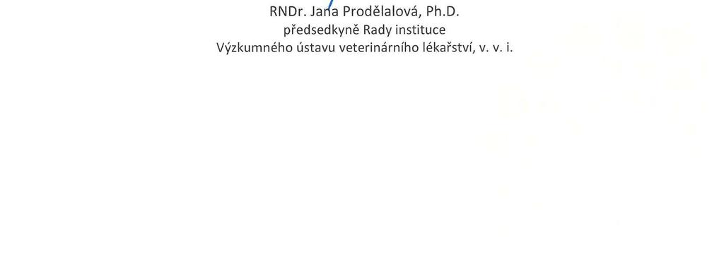 v. v. i. 13.2.