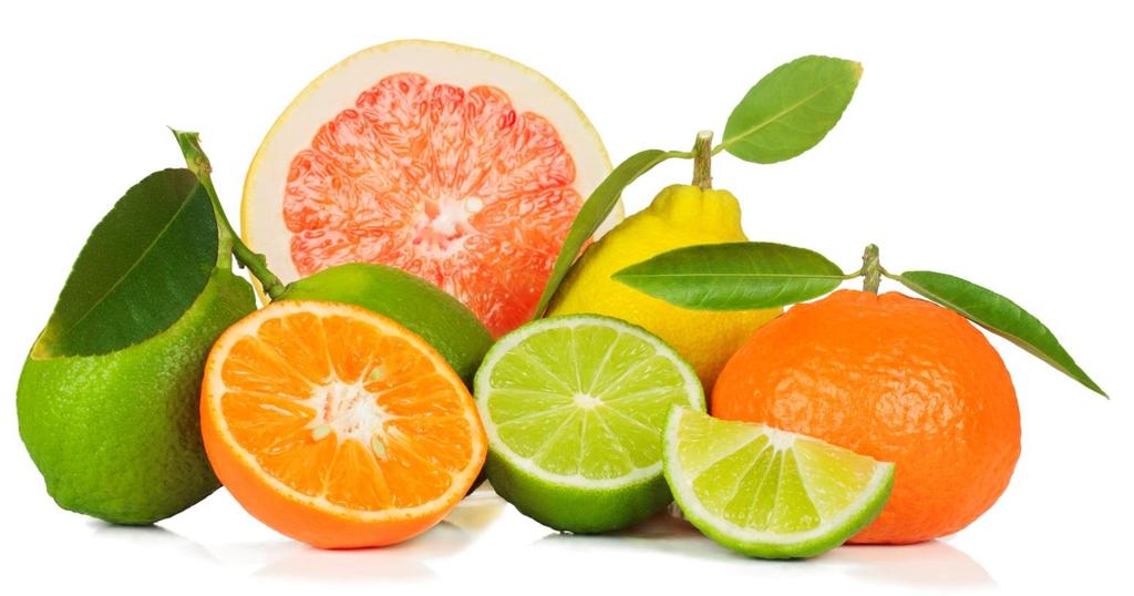 Citrusovníky (pomeranče,