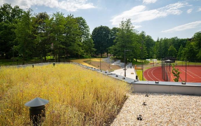Příklady dobré praxe PŘÍLOHY C.2 Neziskový sektor Ptačí park Josefovské louky Česká společnost ornitologická přivedla k životu sto let starý závlahový systém, který fungoval na Metuji na začátku 20.