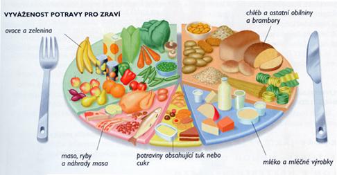 Obiloviny složka