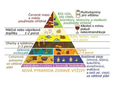 Výživová pyramida (podle obrázku