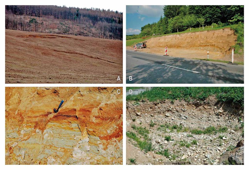 Kenozoikum redeponované z pelitických sedimentů turonu coniaku nejasné provenience (Nehyba et al. 2007).