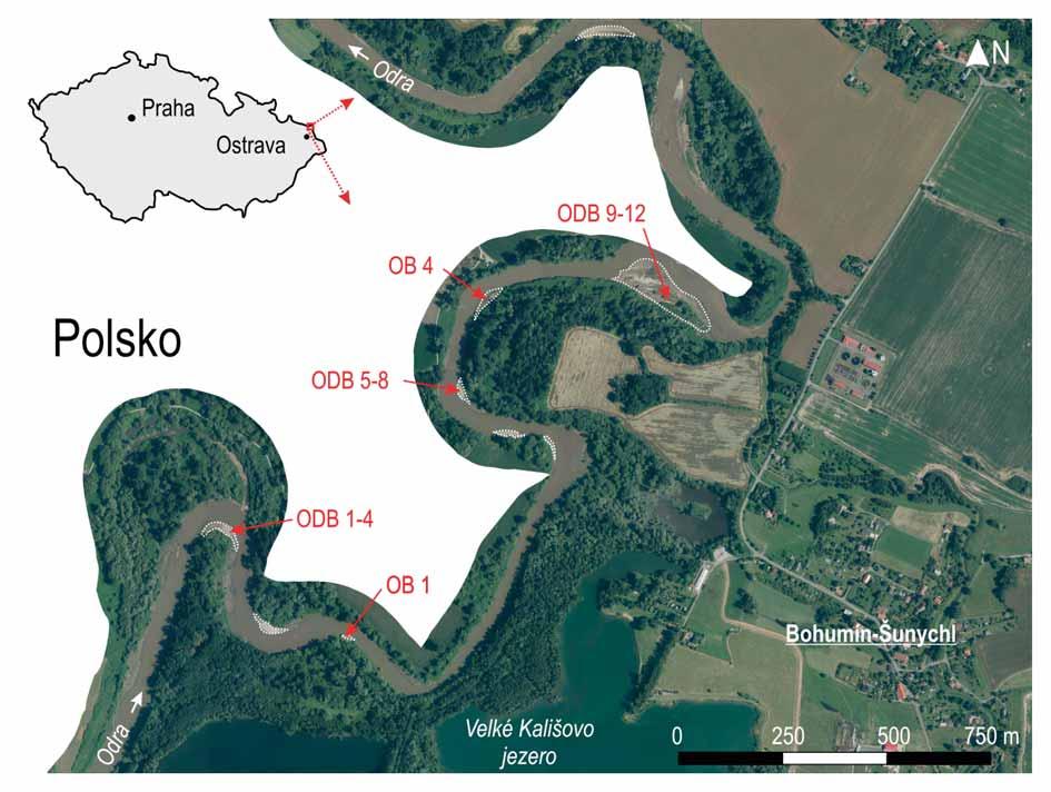 zrnitostí a jeho složením, zejména množstvím a typem organické hmoty (Konat a Kowalewska 2001; Kleineidam et al. 2002; Hofmann et al. 2007).