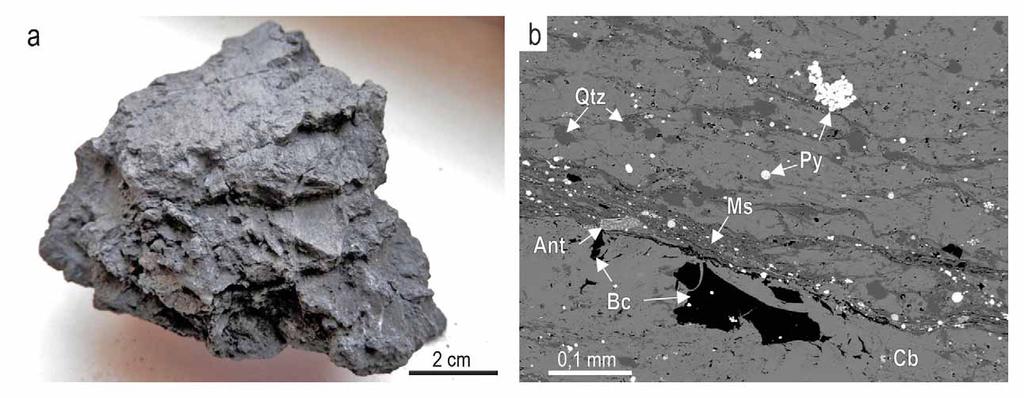 Obr. 4: a Makrovzorek (CB_2) černé horniny zbarvené uhlíkem z tektonické zóny, lom Čebín; b BSE snímek materiálu z obr. 4a, grafitizovaná zóna ve vápencích v lomu v Čebíně.