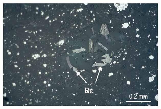 4a, graphitized zone in limestones in the Čebín quarry. Py pyrite, Qtz quartz, Bc carbonaceous matter, Ms mica, Ant anatase, Cb carbonate (light gray).