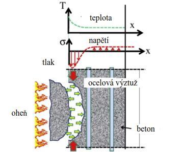 Obrázek 15 Explozivní odprýsknutí betonu v důsledku teplotního gradientu [30] 4.1.8 Rozptýlená výztuž Jednou z možností, jak zvýšit odolnost betonových konstrukcí vůči vysokým teplotám, je použití rozptýlené výztuže.