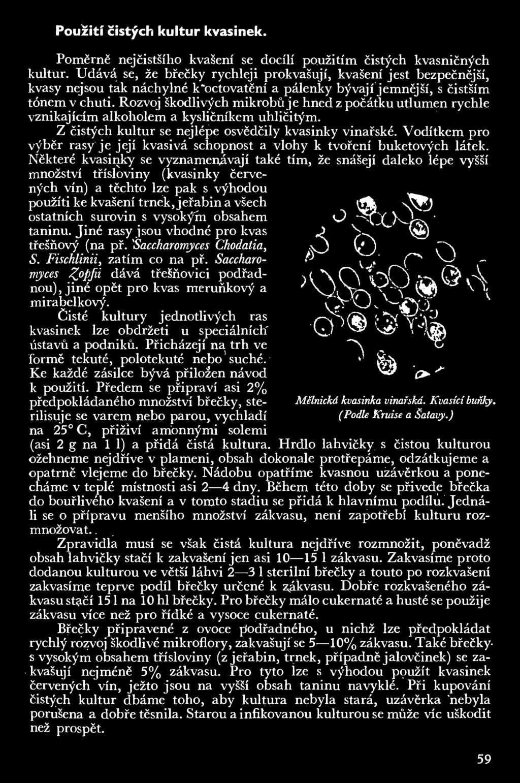 Rozvoj škodlivých mikrobů je hned z počátku utlumen rychle vznikajícím alkoholem a kysličníkem uhličitým. Z čistých kultur se nejlépe osvědčily kvasinky vinařské.