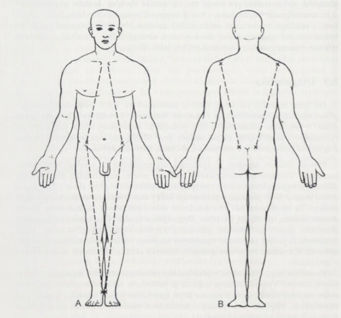Metoda paní Ludmily Mojžíšové vznikla před mnoha lety, ale i dnes je tato fyzioterapeutická metoda stále platná.