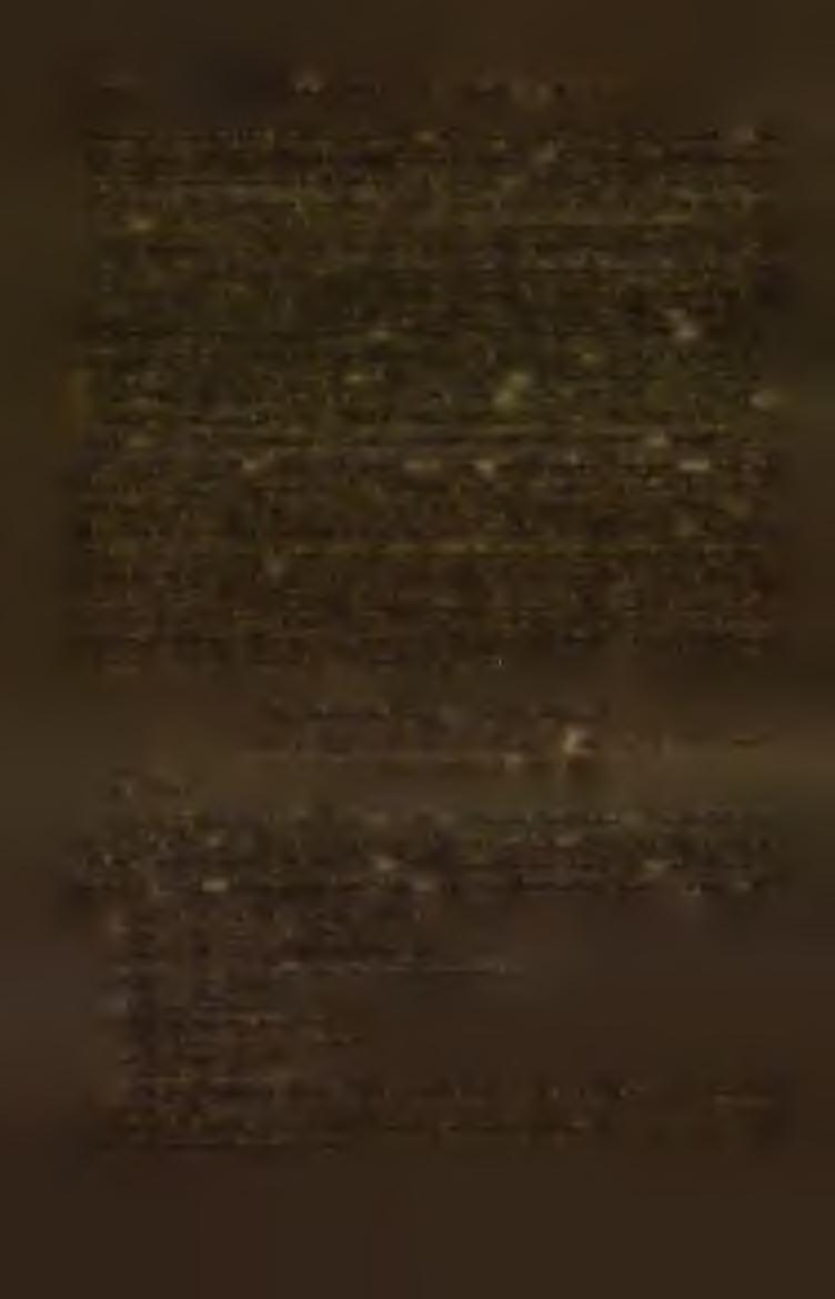 246 H lava VIII. P ředm ěstí D louhé Zelené.