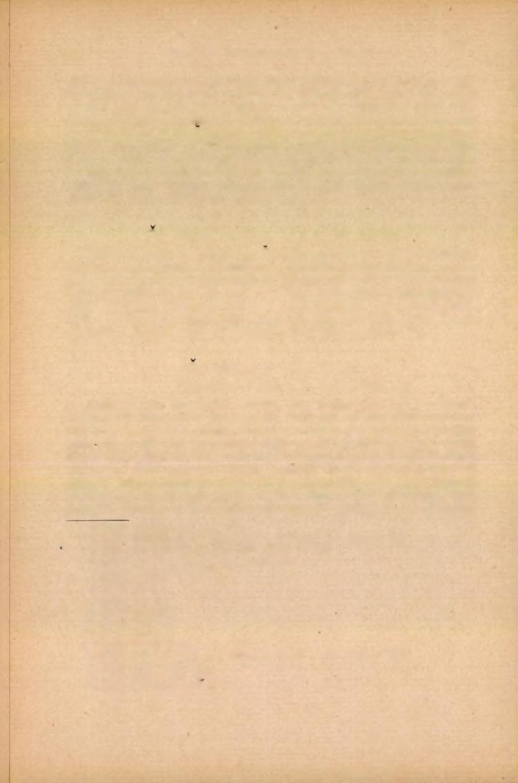 268 H lava VIII. P ředm ěsií D louhé Zelené. ujal se r. 1687 gruntu skrovným dílem vystaveného a nedoplaceného se zahradou za 150 kop1) 1719, Jan Bendák 1719 25 spáleniště za 275 kop.