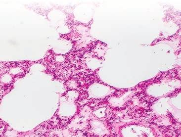 LF UK a FN Královské Vinohrady Úsek lékařské genetiky IKEM Klinika transplantační chirurgie Klinika anesteziologie, resuscitace a intenzivní péče Klinika nefrologie Klinika hepatogastroenterologie