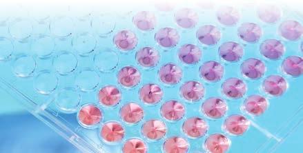 pouze okolo 10 až 15 %. Imunoterapie se jako samostatná terapeutická modalita dostala v poslední dekádě do popředí léčby řady solidních tumorů.