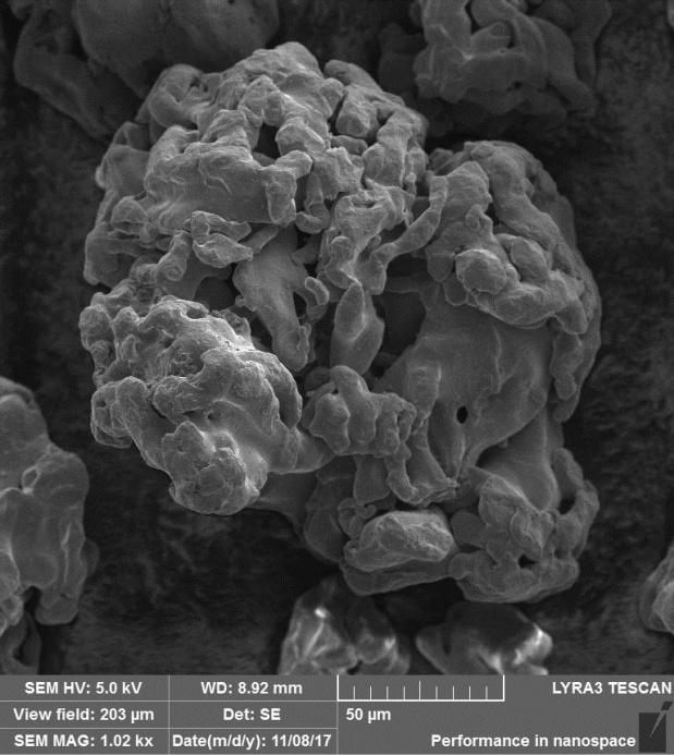 2 Příprava vzorků do korozních cel a jejich zapojení Vzorky materiálů do korozních cel byly připravovány