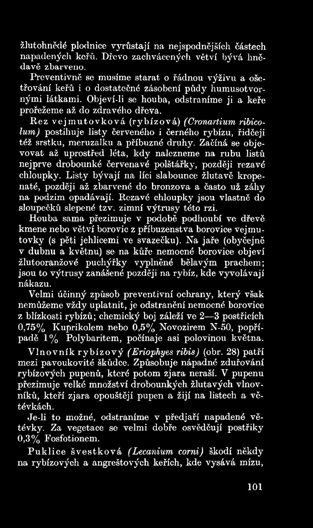 Listy bývají na líci slabounce žlutavě kropenaté, později až zbarvené do bronzová a často už záhy na podzim opadávají. Rezavé chloupky jsou vlastně do sloupečků slepené tzv. zimní výtrusy této rzi.