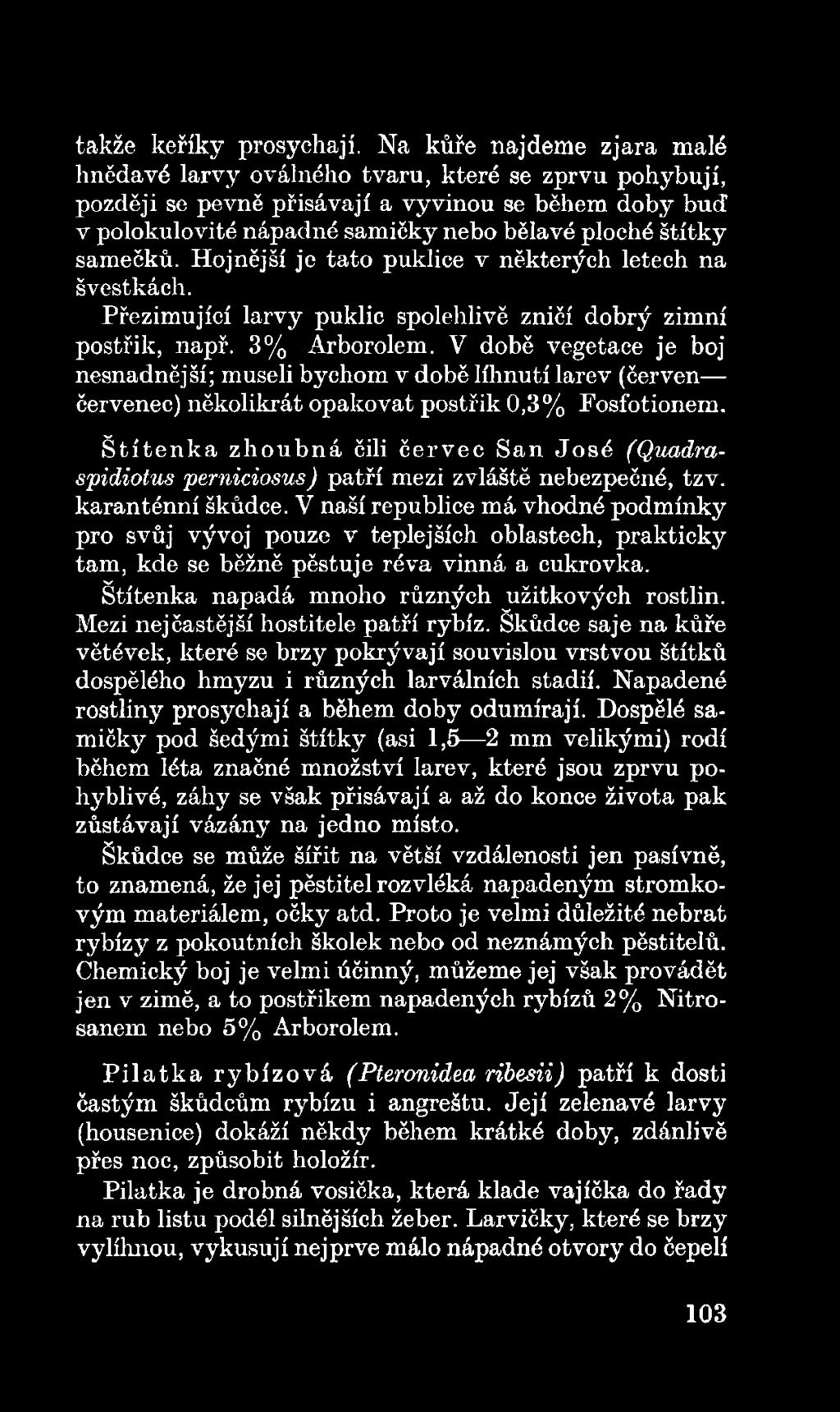 Š títe n k a zh o u b n á čili červec San Jo sé (Quadraspidiotus perniciosus) patří mezi zvláště nebezpečné, tzv. karanténní škůdce.