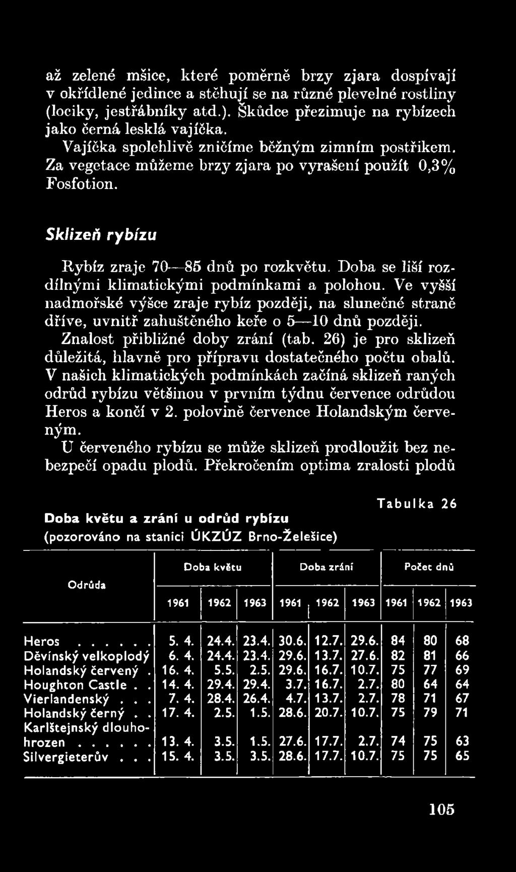 V našich klimatických podmínkách začíná sklizeň raných odrůd rybízu většinou v prvním týdnu července odrůdou Heros a končí v 2. polovině července Holandským červeným.