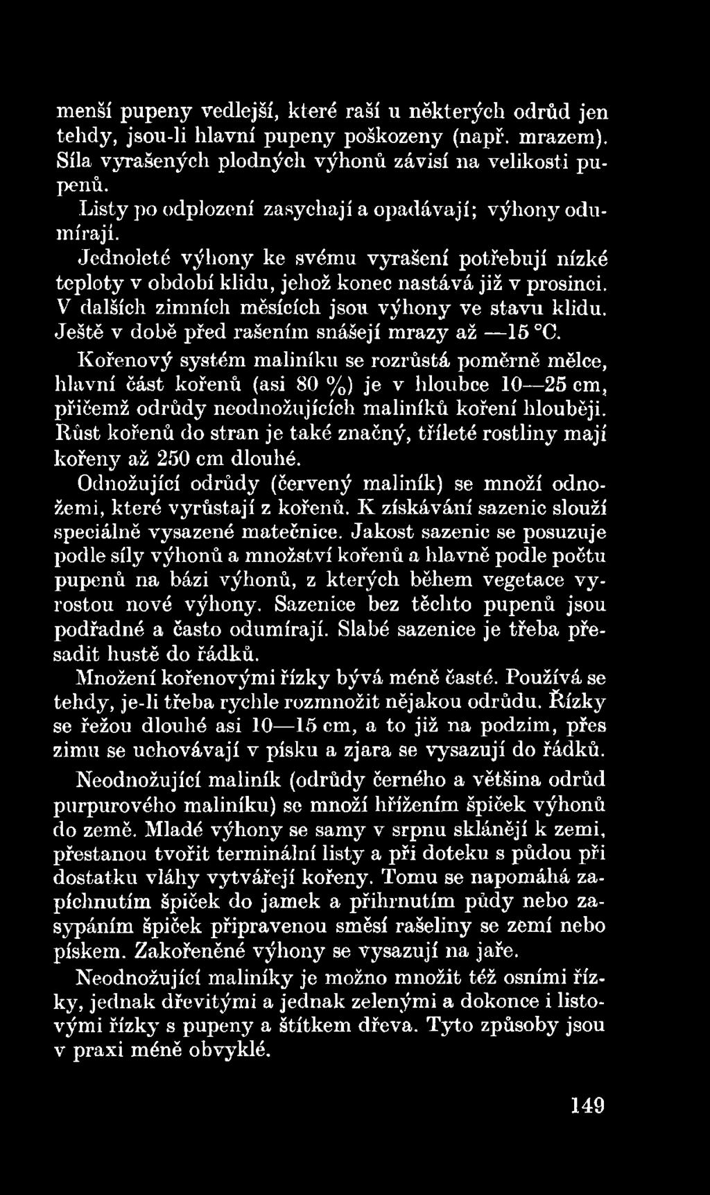 Růst kořenů do stran je také značný, tříleté rostliny mají kořeny až 250 em dlouhé. Odnožující odrůdy (červený maliník) se množí odnožemi, které vyrůstají z kořenů.