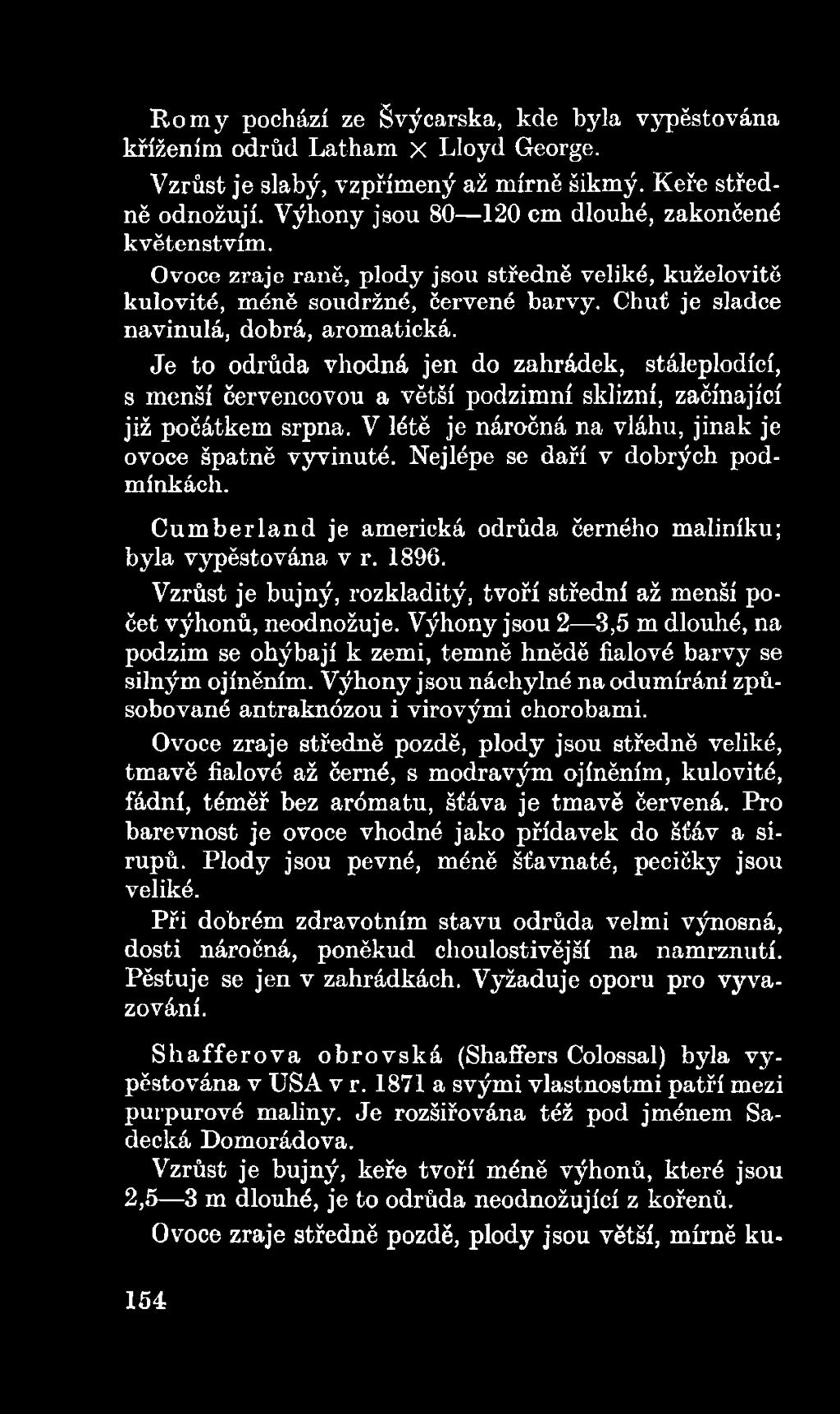 Výhony jsou 2 3,5 m dlouhé, na podzim se ohýbají k zemi, temně hnědě fialové barvy se silným ojíněním. Výhony jsou náchylné na odumírání způsobované antraknózou i virovými chorobami.