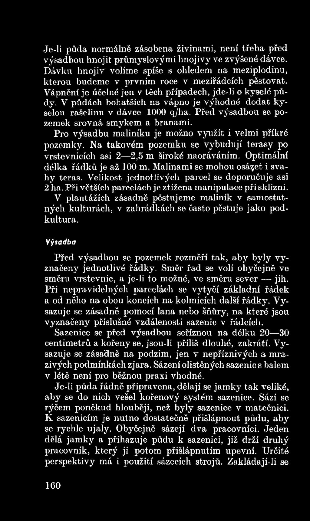 Velikost jednotlivých parcel se doporučuje asi 2 ha. Při větších parcelách je ztížena manipulace při sklizni.