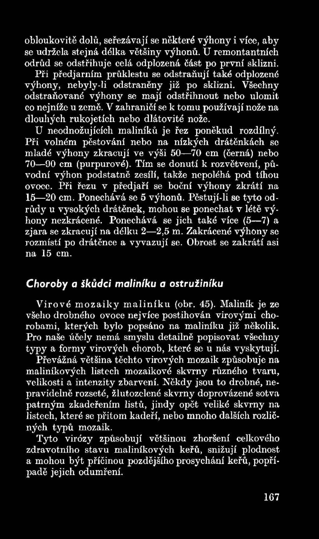 Tím se donutí k rozvětvení, původní výhon podstatně zesílí, takže nepoléhá pod tíhou ovoce. Při řezu v předjaří se boční výhony zkrátí na 15 20 em. Ponechává se 5 výhonů.