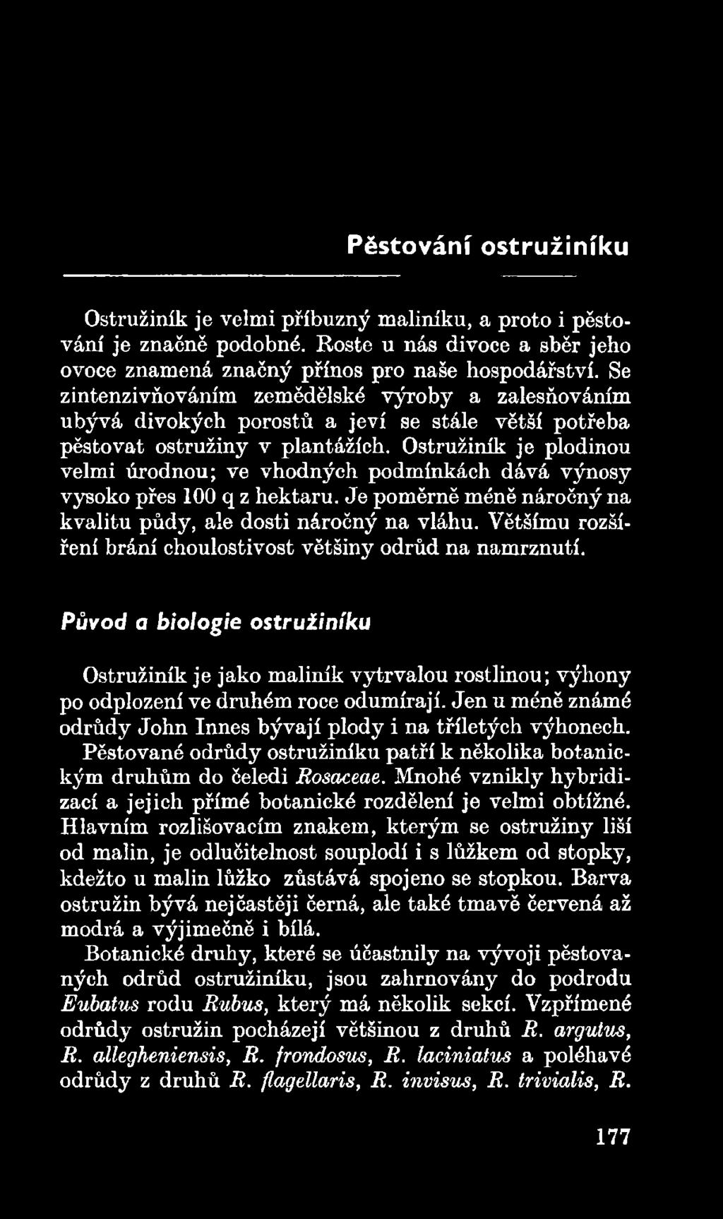 Jen u méně známé odrůdy John Innes bývají plody i na tříletých výhonech. Pěstované odrůdy ostružiníku patří k několika botanickým druhům do čeledi Rosaceae.