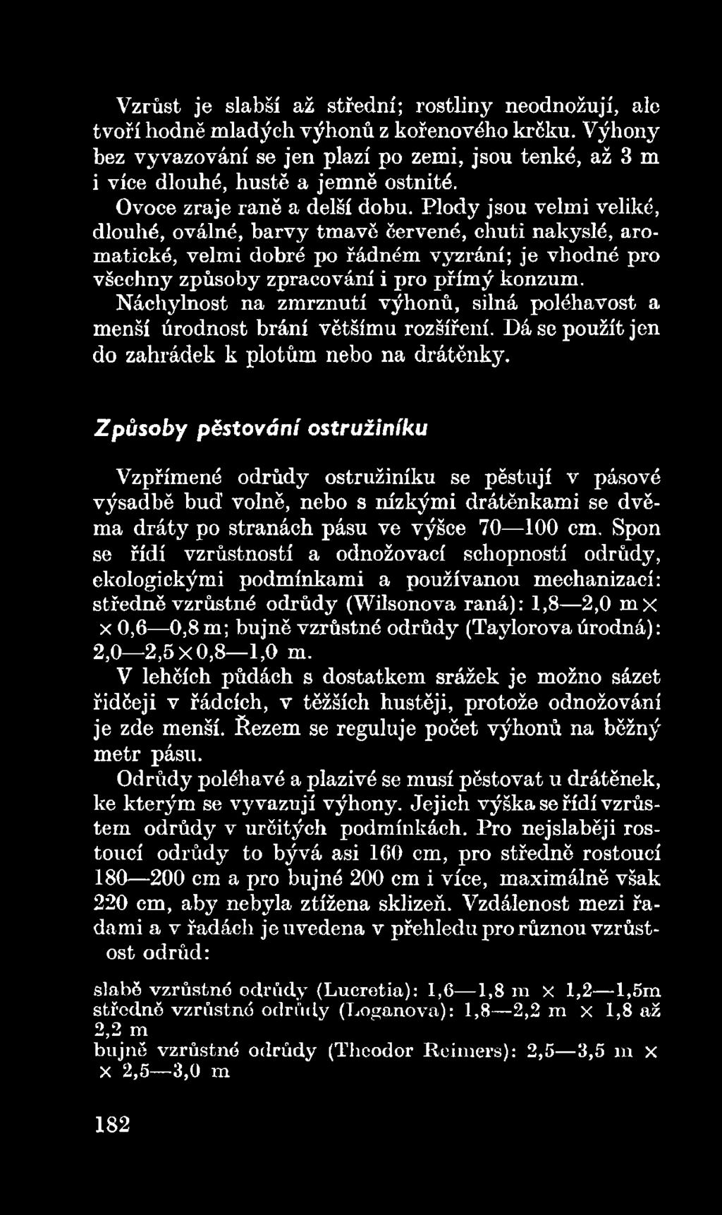 Způsoby pěstování ostružiníku Vzpřímené odrůdy ostružiníku se pěstují v pásové výsadbě buď volně, nebo s nízkými drátěnkami se dvěma dráty po stranách pásu ve výšce 70 100 em.