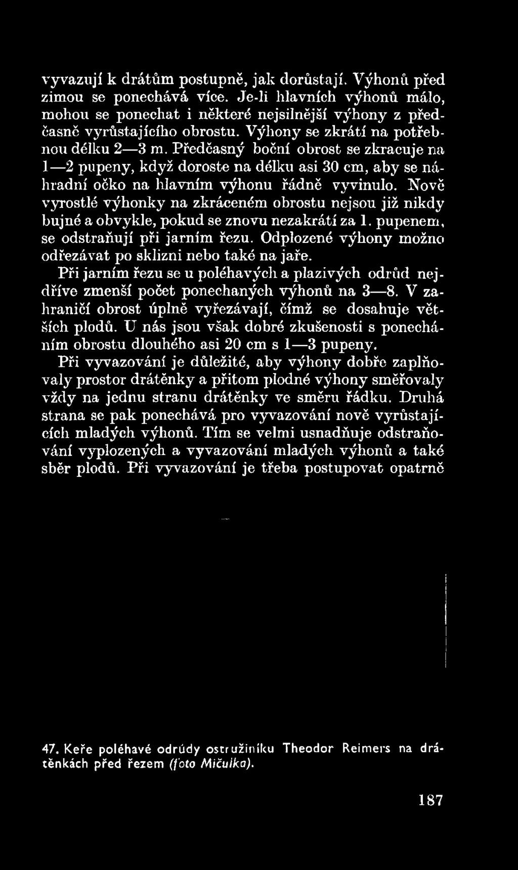 Odplozené výhony možno odřezávat po sklizni nebo také na jaře. Při jarním řezu se u poléhavých a plazivých odrůd nejdříve zmenší počet ponechaných výhonů na 3 8.