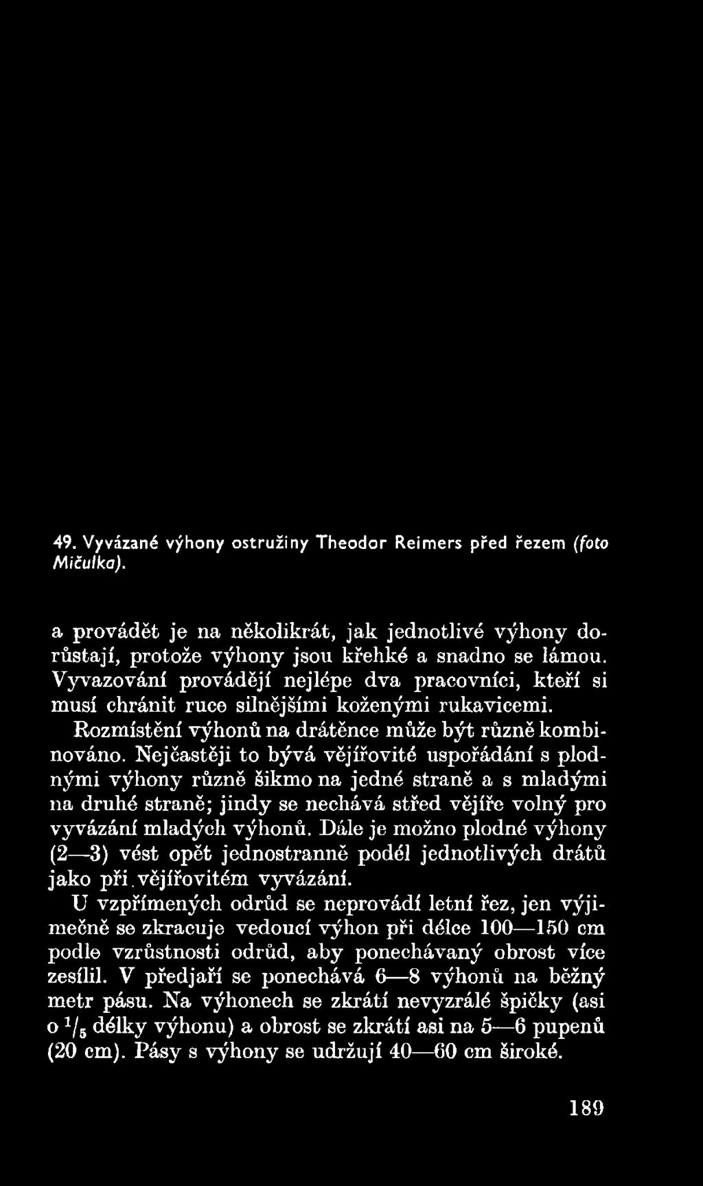 Nejčastěji to bývá vějířovité uspořádání s plodnými výhony různě šikmo na jedné straně a s mladými na druhé straně; jindy se