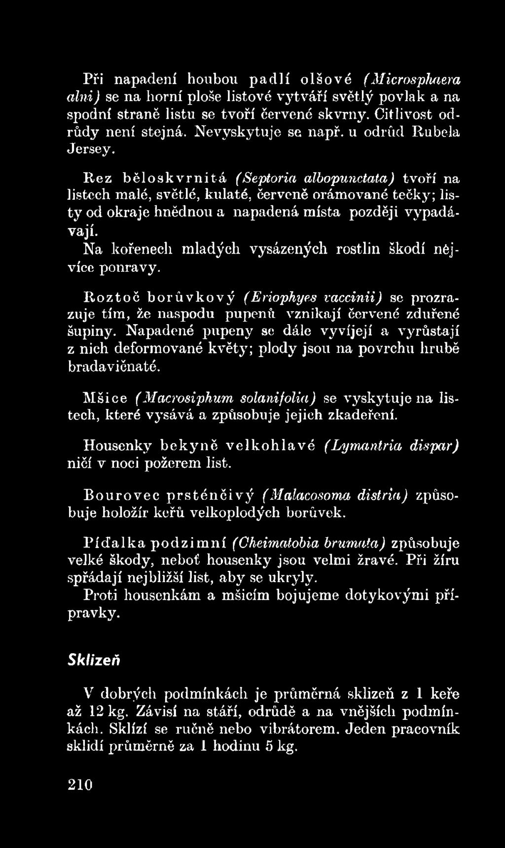 Napadené pupeny se dále vyvíjejí a vyrůstají z nich deformované květy; plody jsou na povrchu hrubě bradavičnaté.