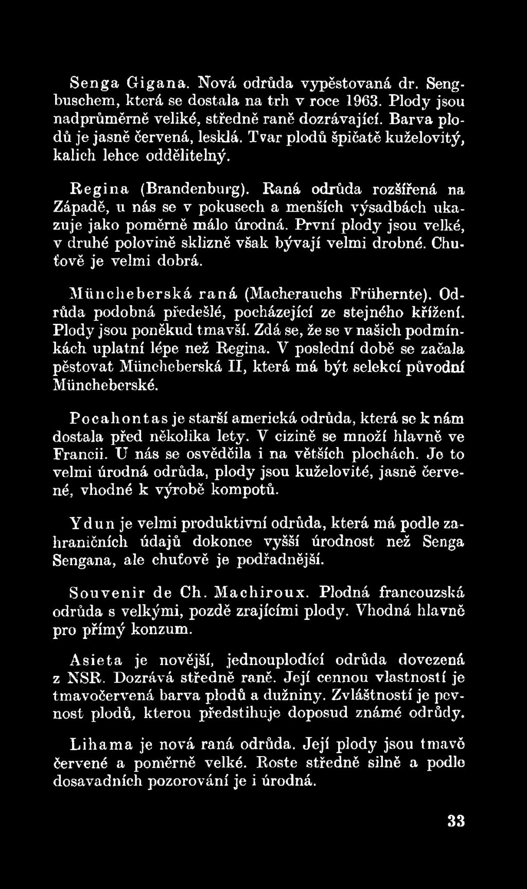 V poslední době se začala pěstovat Můncheberská II, která má být selekcí původní Múncheberské. P o c a h o n ta sje starší americká odrůda, která se k nám dostala před několika lety.