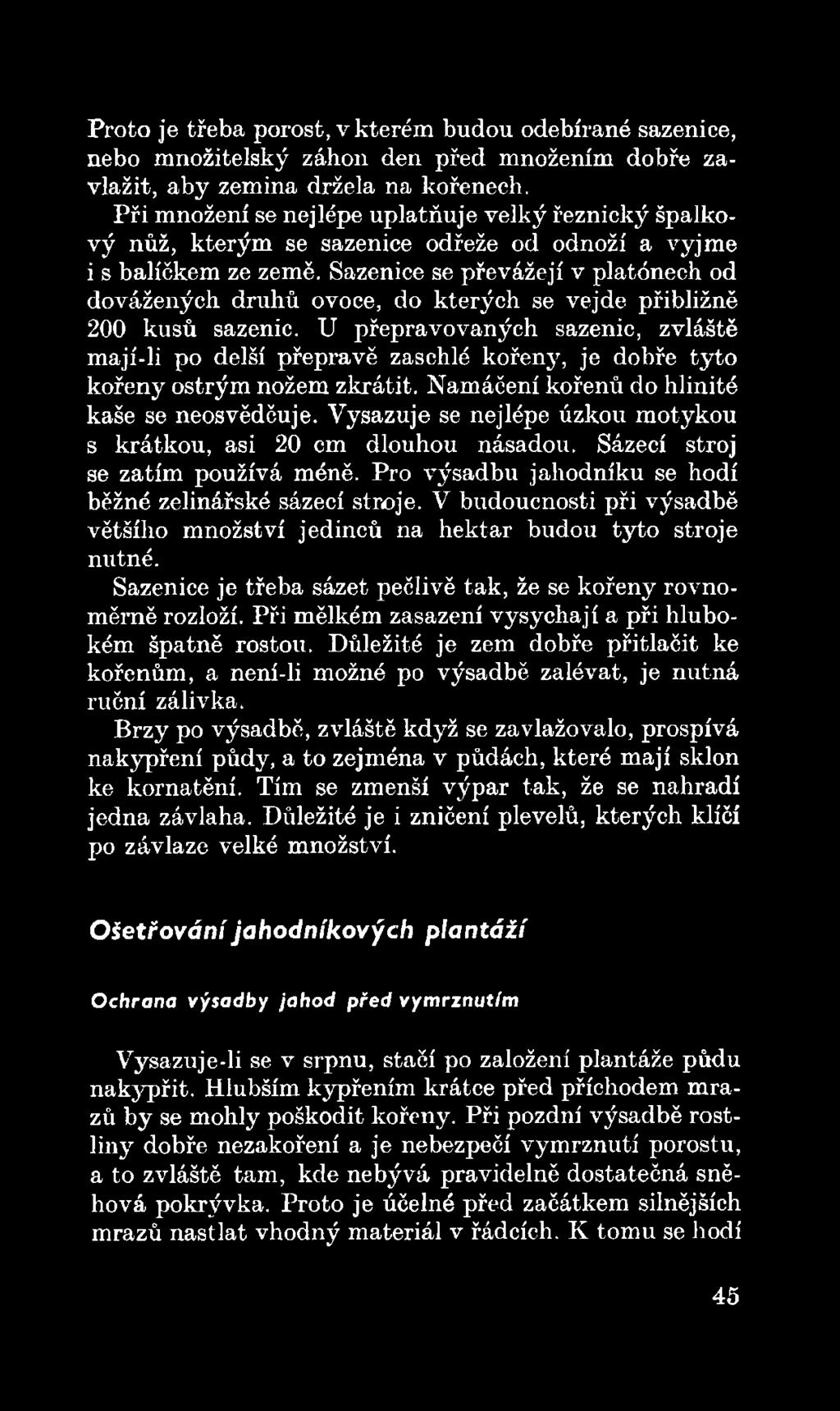 Vysazuje se nejlépe úzkou motykou s krátkou, asi 20 em dlouhou násadou. Sázecí stroj se zatím používá méně. Pro výsadbu jahodníku se hodí běžné zelinářské sázecí stroje.