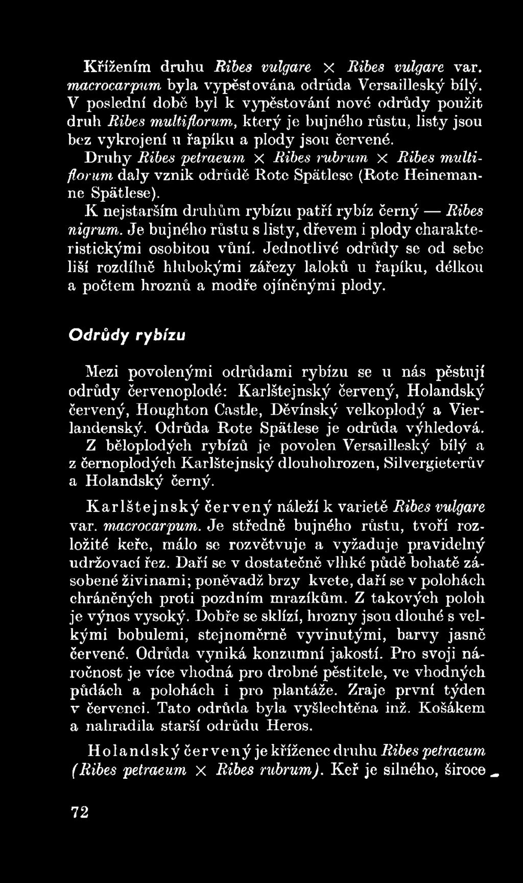 Odrůdy rybízu Mezi povolenými odrůdami rybízu se u nás pěstují odrůdy červenoplodé: Karlštejnský červený, Holandský červený, Houghton Castle, Děvínský velkoplodý a Vierlandenský.