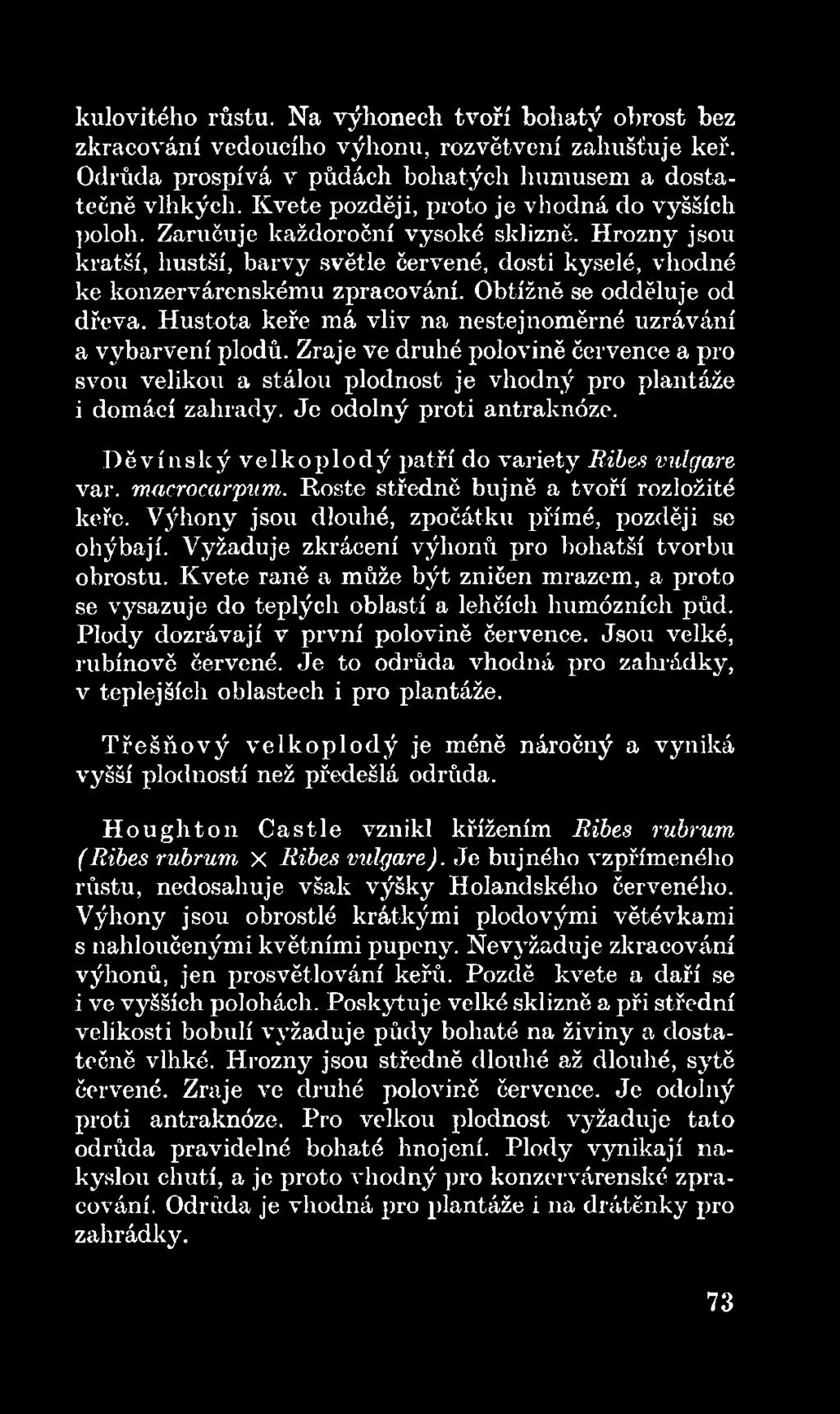 D ě v ín slc ý v e lk o p lo d ý patří do variety Ribes vulgare var. macrocarpum. Roste středně bujně a tvoří rozložité keře. Výhony jsou dlouhé, zpočátku přímé, později se ohýbají.