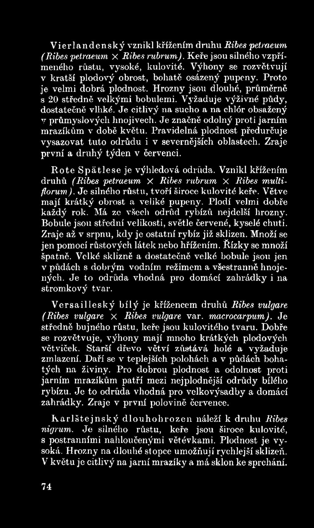 Větve mají krátký obrost a veliké pupeny. Plodí velmi dobře každý rok. Má ze všech odrůd rybízů nej delší hrozny. Bobule jsou střední velikosti, světle červené, kyselé chuti.