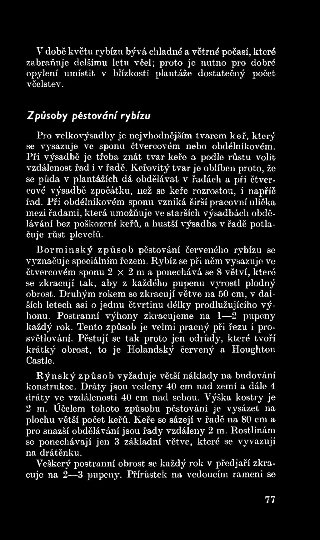 Při obdélníkovém sponu vzniká širší pracovní ulička mezi řadami, která umožňuje ve starších výsadbách obdělávání bez poškození keřů, a hustší výsadba v řadě potlačuje růst plevelů.