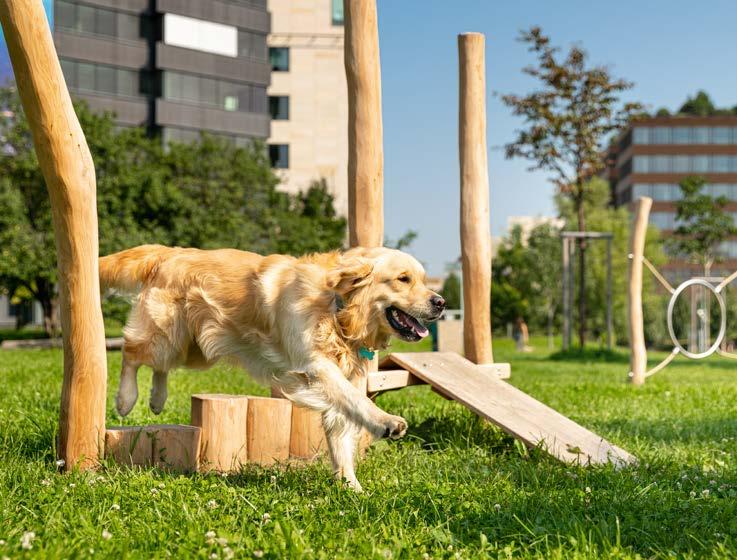 Sport a zábava 35 Máte malého či staršího pejska, nebo běh není vaší oblíbenou aktivitou?