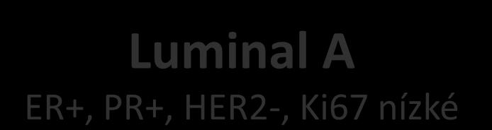 Ki67 nízké Luminal B ER+,