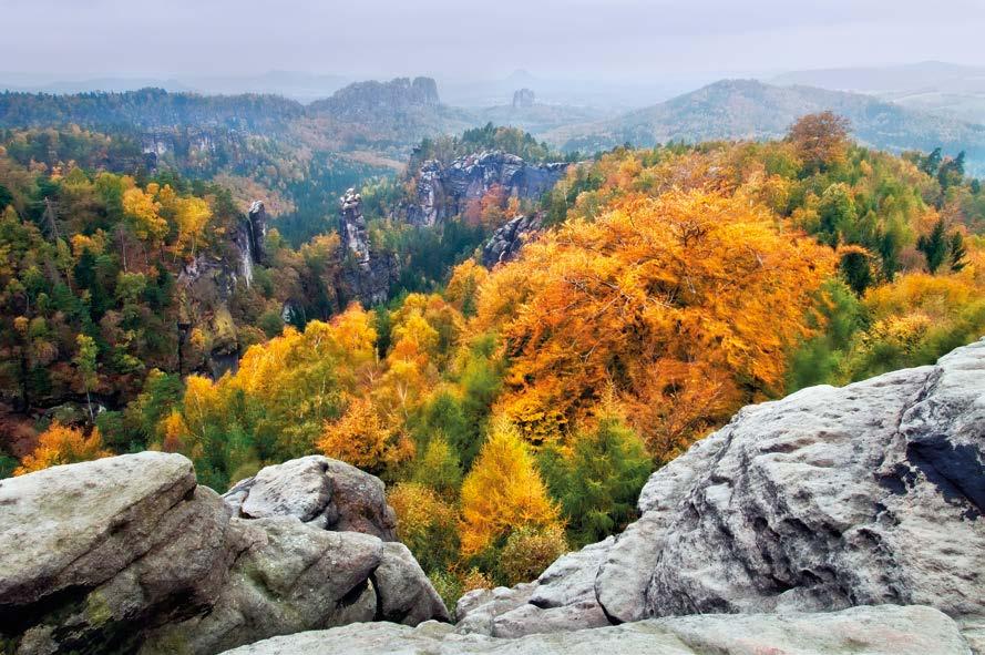 V Ústeckém kraji se nachází jeden z českých národních parků