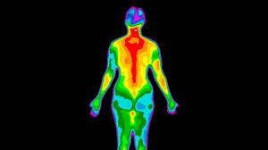 Termoregulace člověk teplokrevný teplota jádra u člověka bez horečky stabilní (± 0,5 C)