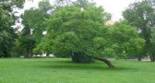 Park ve střední části s pěknou
