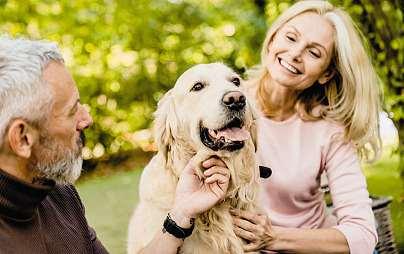 ADVERTORIAL Text Jan Odstrčil, Foto Shutterstock BOLEST KLOUBŮ BERE PSŮM CHUŤ BĚHAT I ŽÍT Uděláte pro vašeho psa všechno? Pravděpodobně ano. Pes je členem rodiny.
