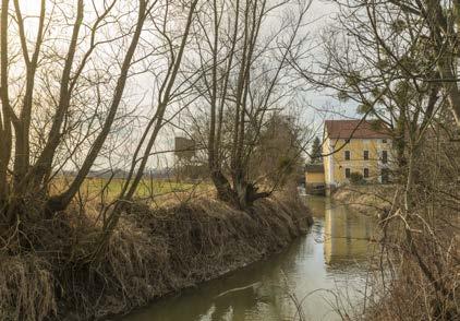 Ekosystém rybníka, meandrující řeky, lužních lesů a luk je funkčně propojeným celkem, který je ovlivňován přirozeným záplavovým režimem řeky Odry. 18.