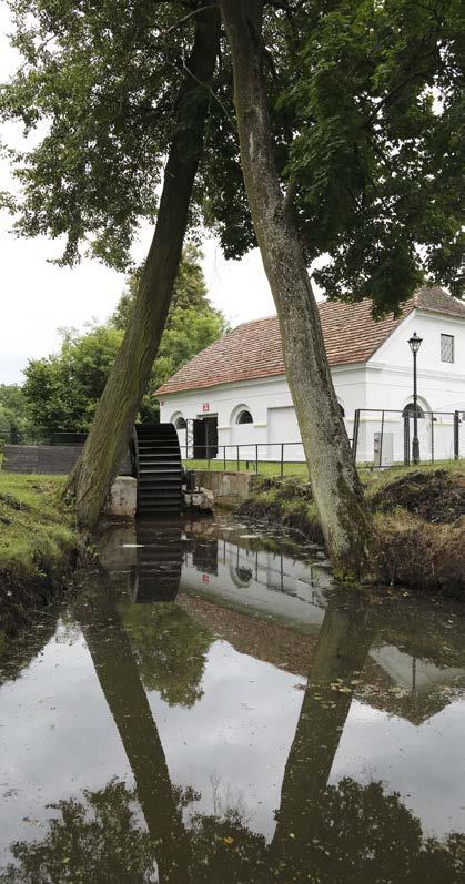48. Chráněná krajinná oblast Stobrawski Park Krajobrazowy Místní příroda má obrovské kouzlo.