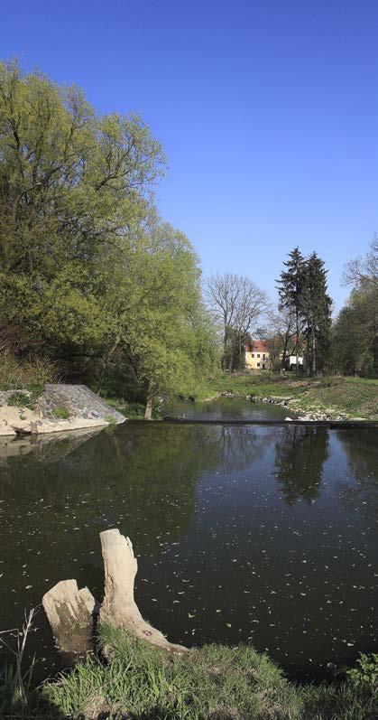 květen Bílý kámen, v tento den se pravidelně otevírají brány vojenského újezdu Libavá pro turisty.