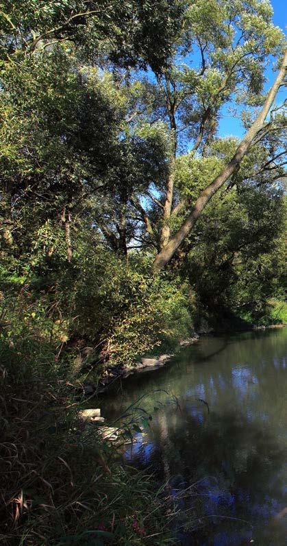 Moravskoslezský kraj Krajský úřad 28.