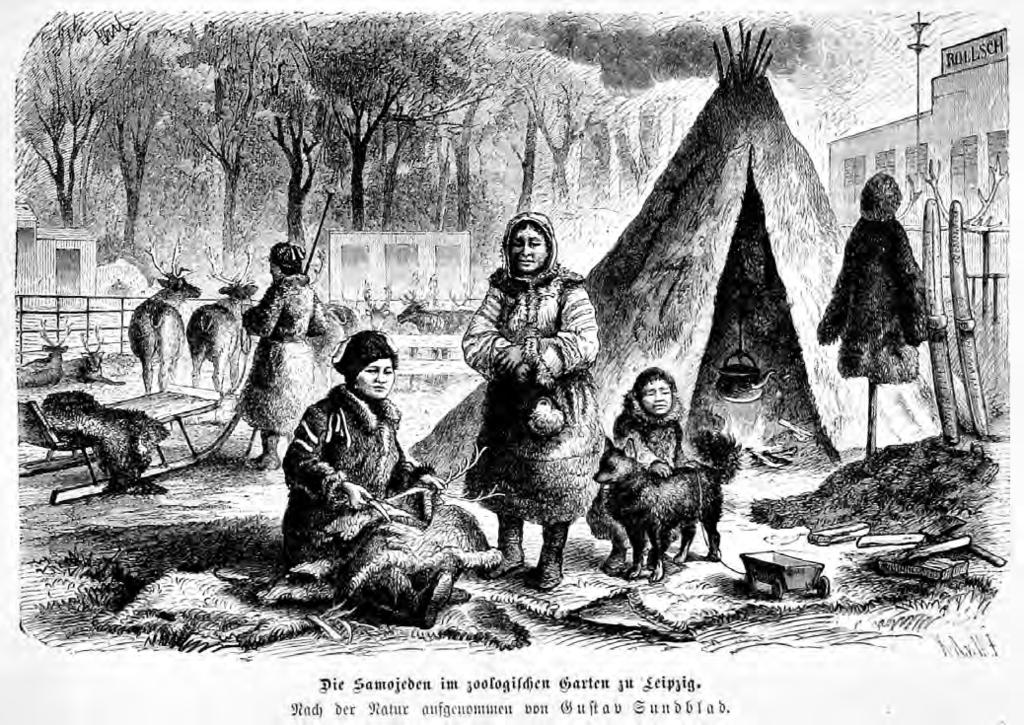 Ilustrace 4: Tzv. Samojedi v zoologické zahradě v Lipsku v roce 1883. Die Samojeden, Die Gartenlaube 6/1883, Leipzig: Verlag von Ernst Kail, s. 95-97.